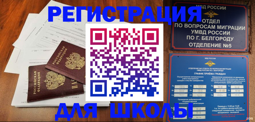 прописка поиск в Сольцах